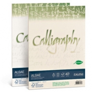 CARTA CALLIGRAPHY ALGAE AVORIO 200GR 50FG